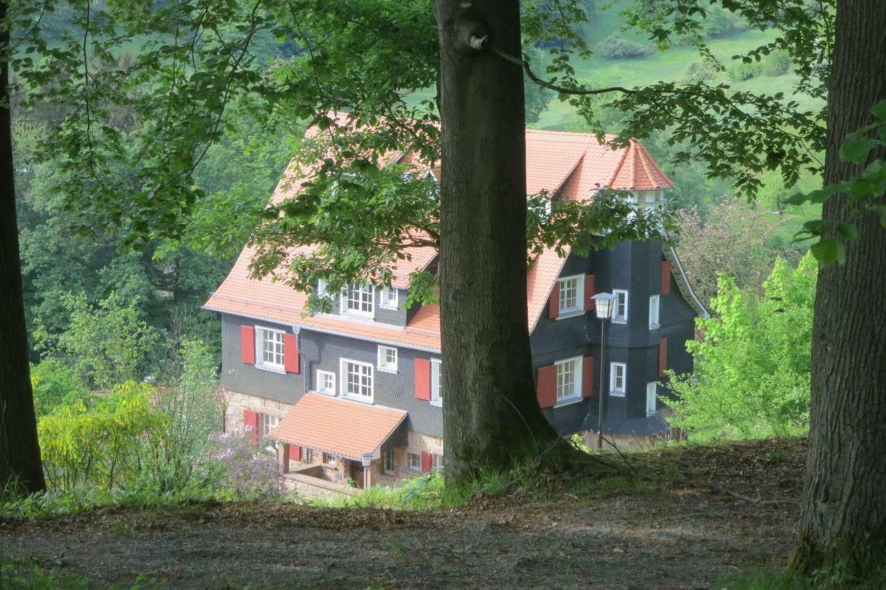 Panoramablick Appartement - Traumhaft! Ober-Hambach Exterior photo